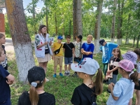 Изображение WhatsApp 2025-06-19 в 16.33.01_4b582379