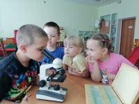 image-16-06-26-02-55-3